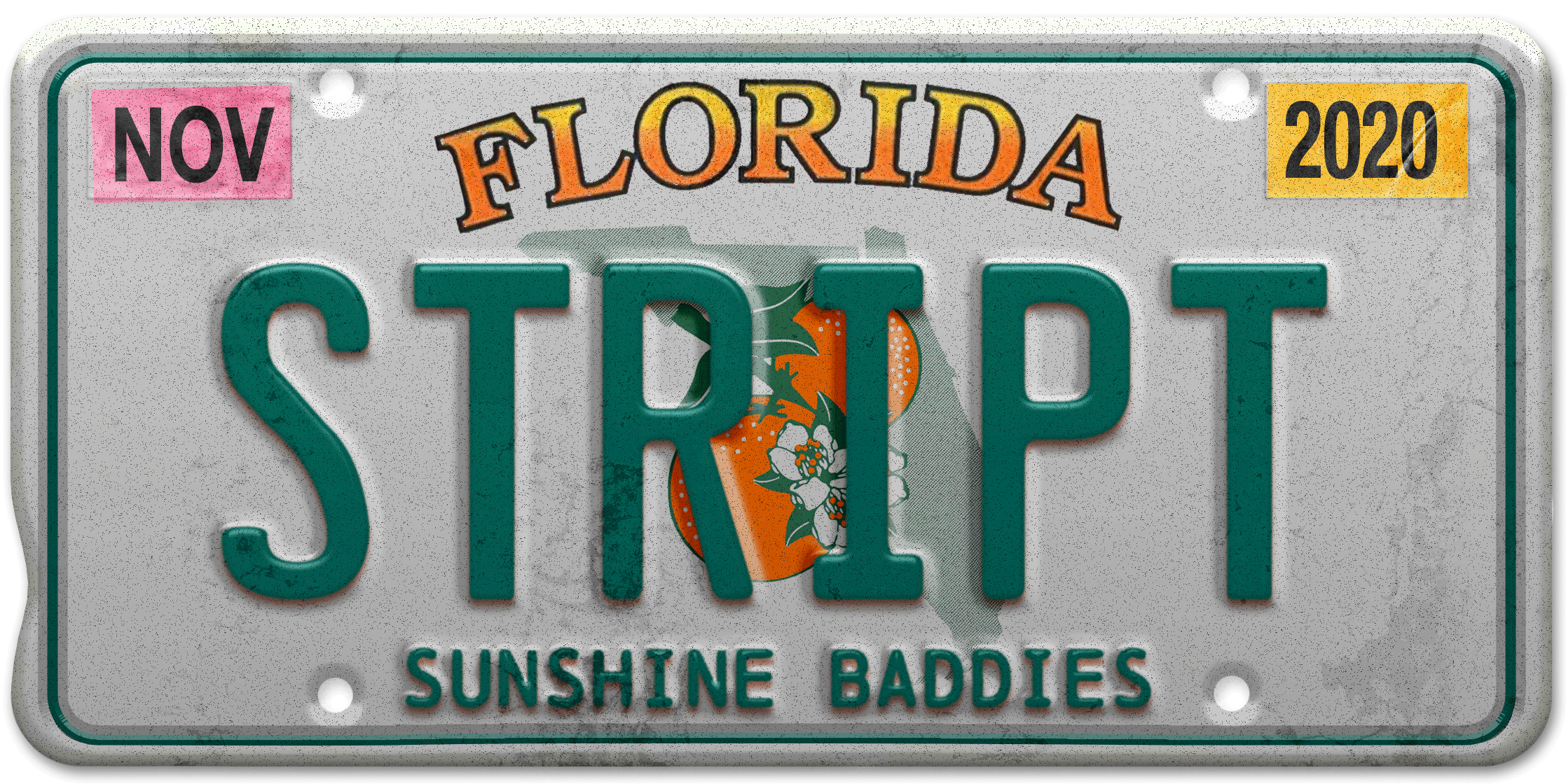 FL license plate