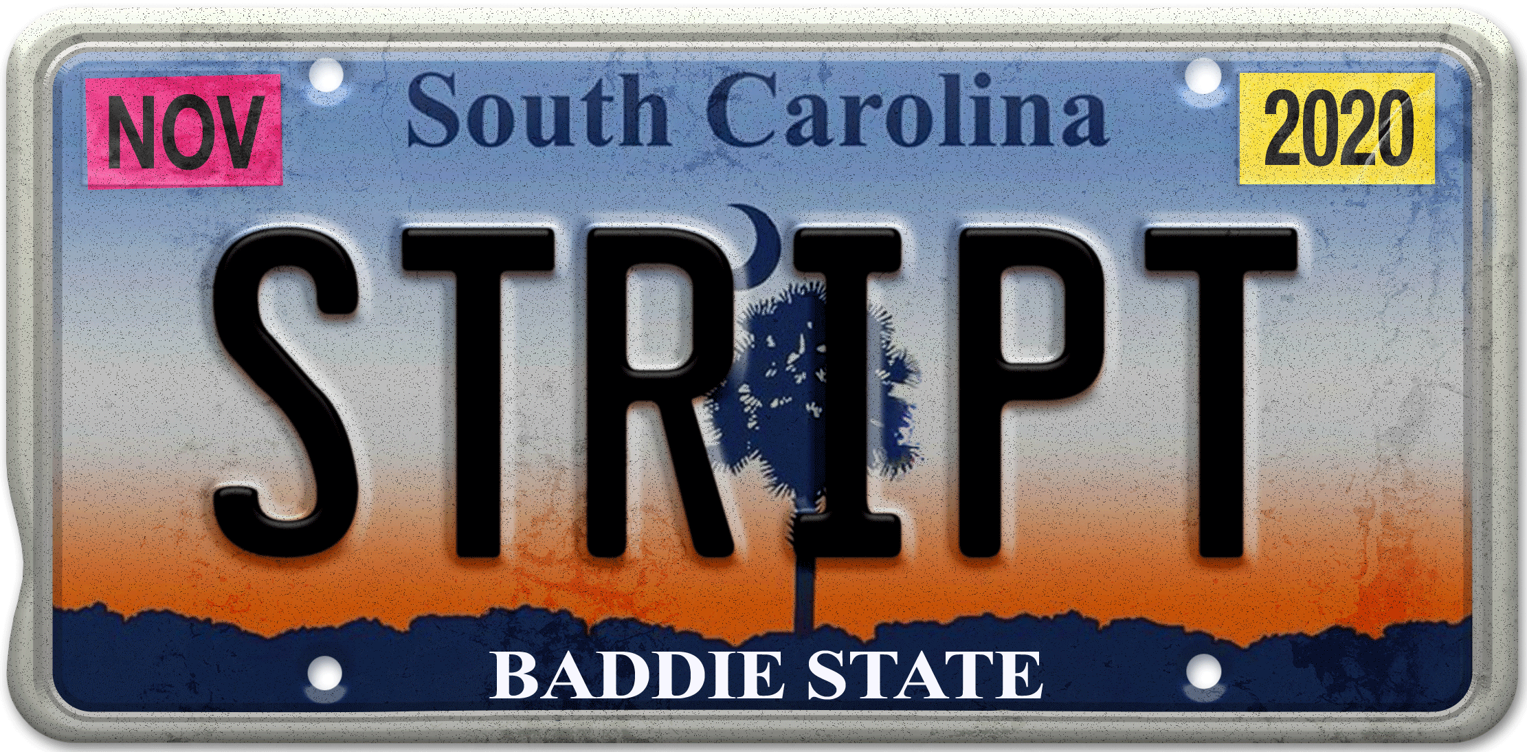 SC license plate