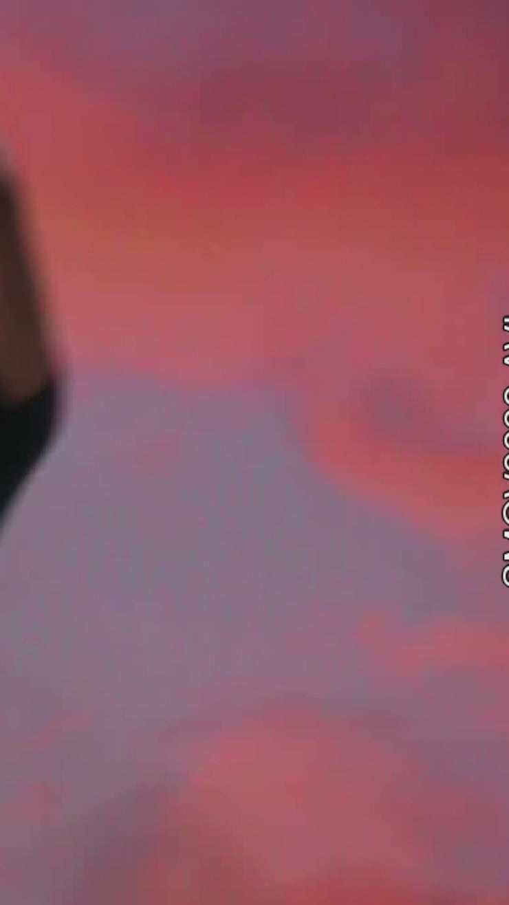 GIGI LEOTARD
